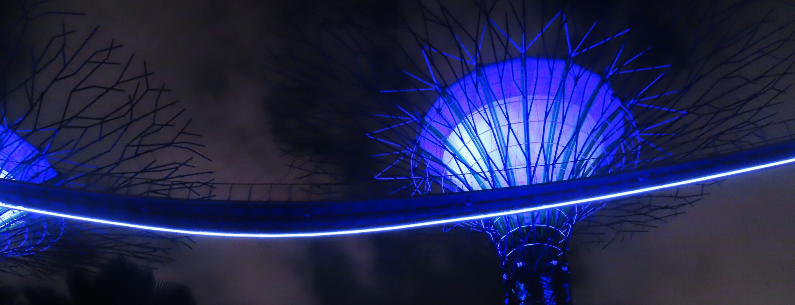 Five tips for visiting Singapore on a budget