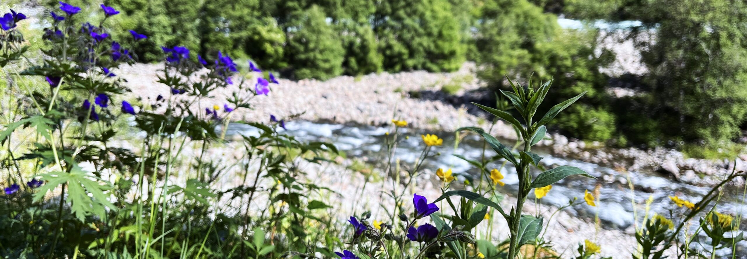 A hike from Myrdal to Flåm