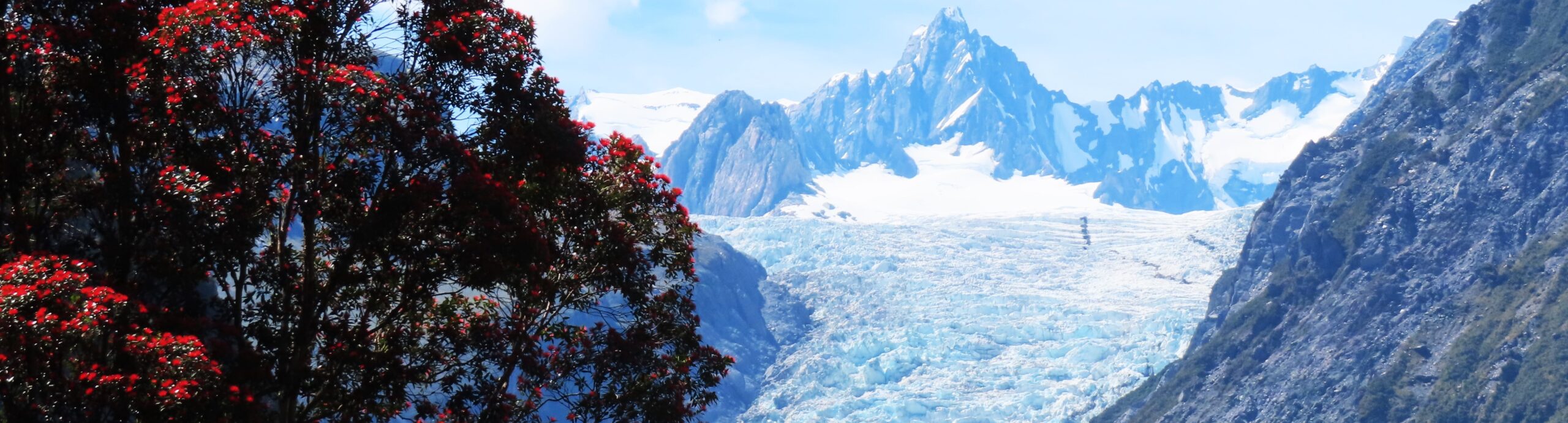 Fox Glacier South Side Walkway, New Zealand: quick guide