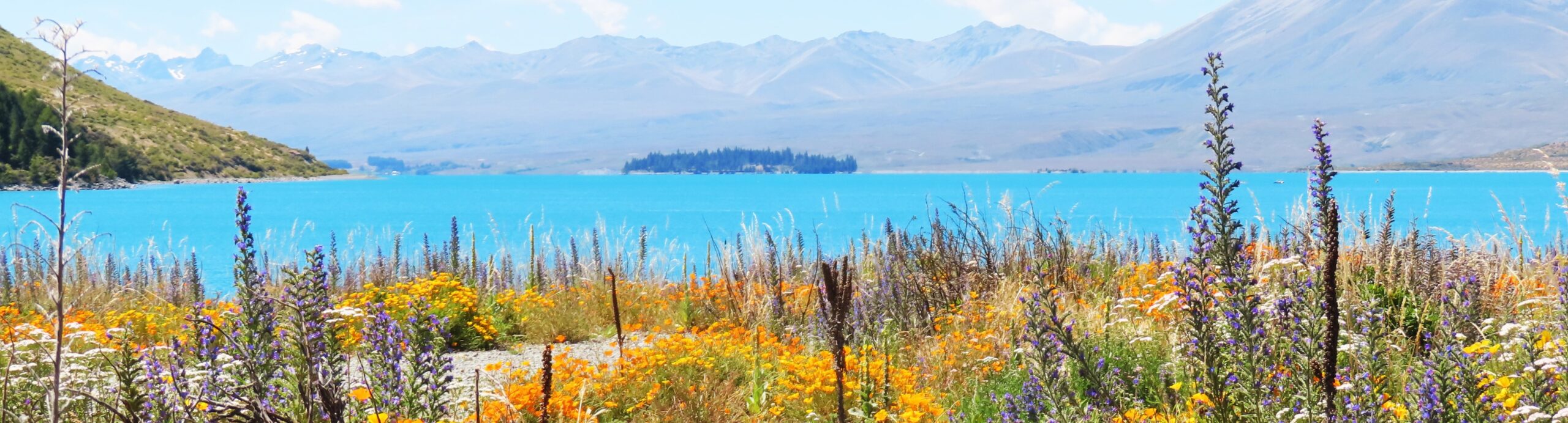 Hiking Mount John Walkway at Lake Tekapo: quick guide