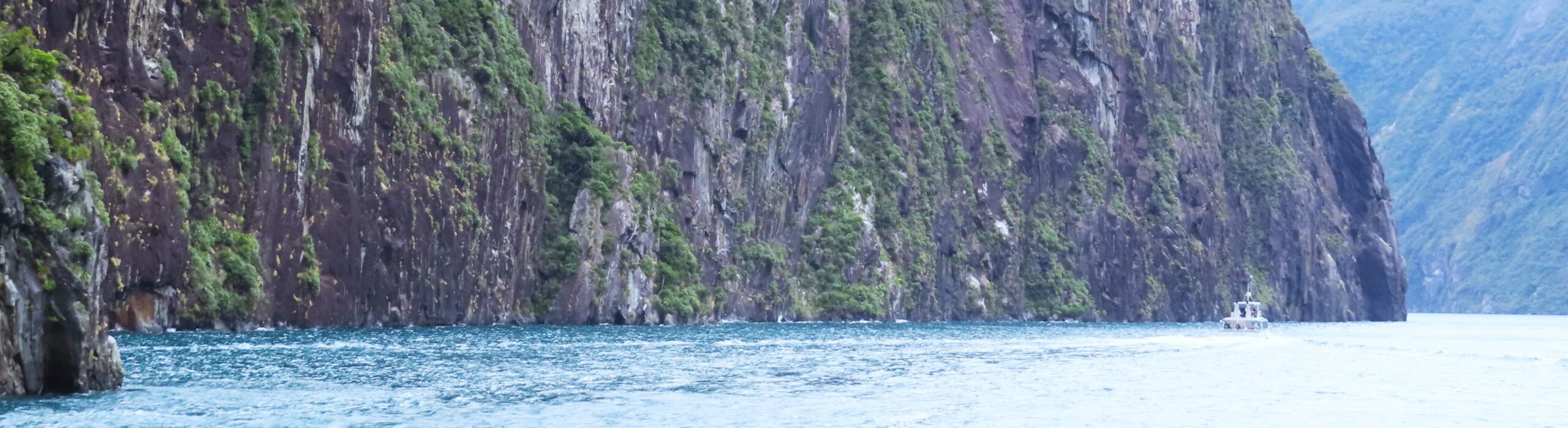 Milford Sound day tour from Queenstown: what to expect